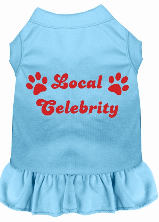 Local Celebrity Screen Print Dress Baby Blue XS